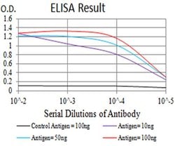 Invitrogen mGluR6 Monoclonal Antibody (4C11E12) 100 &mu;L; Unconjugated:Antibodies,