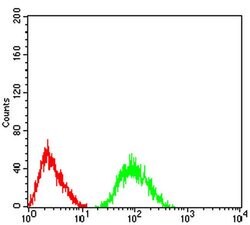 Invitrogen mGluR7 Monoclonal Antibody (7G8A2) 100 &mu;L; Unconjugated:Antibodies,