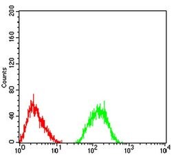 Invitrogen mGluR7 Monoclonal Antibody (7G8D3) 100 &mu;L; Unconjugated:Antibodies,