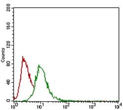 Invitrogen GSC Monoclonal Antibody (4C5D5) 100 &mu;L | Buy Online | Invitrogen&trade; | Fisher Scientific