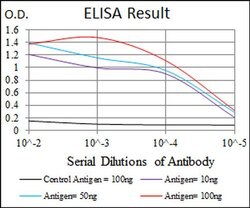 Invitrogen GSTM1 Monoclonal Antibody (1H4A4) 100 &mu;L; Unconjugated:Antibodies,