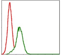 Invitrogen GSTM1 Monoclonal Antibody (1H4A4) 100 &mu;L; Unconjugated:Antibodies,