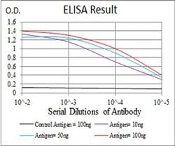 Invitrogen Histone H3 Monoclonal Antibody (6D3B9) 100 &mu;L; Unconjugated:Antibodies,