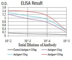 Invitrogen H3K27ac Monoclonal Antibody (2D7B3) 100 &mu;L; Unconjugated:Antibodies,
