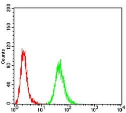 Invitrogen H3K27ac Monoclonal Antibody (2D7B3) 100 &mu;L; Unconjugated:Antibodies,