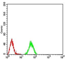 Invitrogen H3K27ac Monoclonal Antibody (2D7B3) 100 &mu;L; Unconjugated:Antibodies,