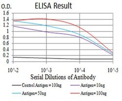 Invitrogen H3K27ac Monoclonal Antibody (6E7A9) 100 &mu;L; Unconjugated:Antibodies,