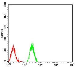 Invitrogen H3K27ac Monoclonal Antibody (6E7A9) 100 &mu;L; Unconjugated:Antibodies,