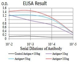 Invitrogen HOXA9 Monoclonal Antibody (1A12C1) 100 &mu;L; Unconjugated:Antibodies,