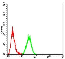 Invitrogen HOXA9 Monoclonal Antibody (1A12C1) 100 &mu;L; Unconjugated:Antibodies,