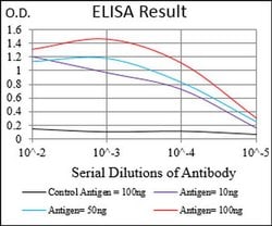 Invitrogen HOXB4 Monoclonal Antibody (3A2F2) 100 &mu;L; Unconjugated:Antibodies,