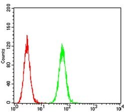 Invitrogen HTR3B Monoclonal Antibody (2H9H5) 100 &mu;L; Unconjugated:Antibodies,