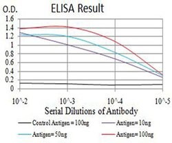 Invitrogen IGLC2 Monoclonal Antibody (5E12B9) 100 &mu;L; Unconjugated:Antibodies,
