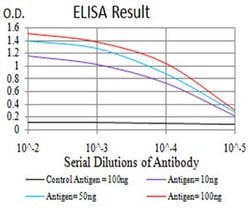 Invitrogen IL1RAPL1 Monoclonal Antibody (3E3D12) 100 &mu;L; Unconjugated:Antibodies,