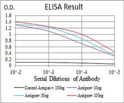 Invitrogen KV4.2 (KCND2) Monoclonal Antibody (7G6A10) 100 &mu;L; Unconjugated:Antibodies,