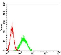 Invitrogen JMJD2B Monoclonal Antibody (3A6H6) 100 &mu;L; Unconjugated:Antibodies,