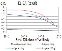 Invitrogen KDM5B Monoclonal Antibody (7H3D7) 100 &mu;L; Unconjugated:Antibodies,