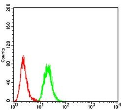 Invitrogen KDM5B Monoclonal Antibody (7H3D7) 100 &mu;L; Unconjugated:Antibodies,