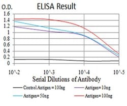 Invitrogen KLF6 Monoclonal Antibody (4C7D6) 100 &mu;L; Unconjugated:Antibodies,