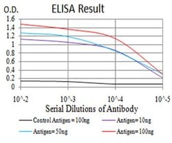 Invitrogen LEF1 Monoclonal Antibody (1A4B11) 100 &mu;L; Unconjugated:Antibodies
