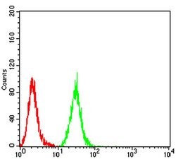 Invitrogen MIB1 Monoclonal Antibody (2A7B1) 100 &mu;L; Unconjugated:Antibodies,