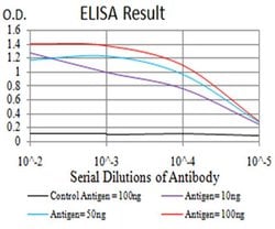Invitrogen MIB1 Monoclonal Antibody (6A9C9) 100 &mu;L; Unconjugated:Antibodies,