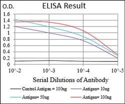 Invitrogen MMEL1 Monoclonal Antibody (2D2H5) 100 &mu;L; Unconjugated:Antibodies,