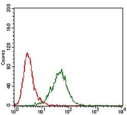 Invitrogen MMEL1 Monoclonal Antibody (2D2H5) 100 &mu;L; Unconjugated:Antibodies,