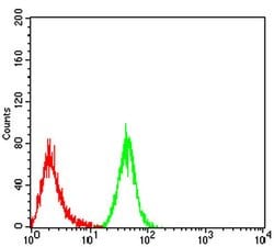Invitrogen MOB1A Monoclonal Antibody (2D3D11) 100 &mu;L; Unconjugated:Antibodies,