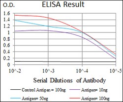 Invitrogen MRPL42 Monoclonal Antibody (3H6H2) 100 &mu;L; Unconjugated:Antibodies,