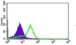 Invitrogen MRPL42 Monoclonal Antibody (3H6H2) 100 &mu;L; Unconjugated:Antibodies,