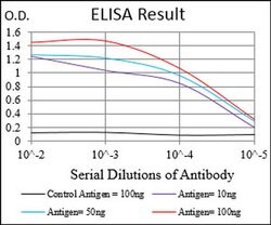 Invitrogen Myostatin Monoclonal Antibody (6E4B2) 100 &mu;L; Unconjugated:Antibodies,