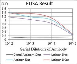 Invitrogen MURF1 Monoclonal Antibody (7B8E1) 100 &mu;L; Unconjugated:Antibodies,