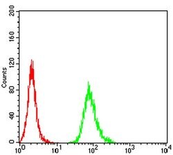 Invitrogen PXR Monoclonal Antibody (1D12G1) 100 &mu;L; Unconjugated:Antibodies,