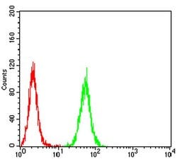 Invitrogen PXR Monoclonal Antibody (6H11D8) 100 &mu;L; Unconjugated:Antibodies,