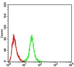 Invitrogen OTUD4 Monoclonal Antibody (3B12G11) 100 &mu;L; Unconjugated:Antibodies,