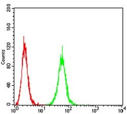 Invitrogen P2X7 Monoclonal Antibody (7G1D6) 100 &mu;L; Unconjugated:Antibodies,
