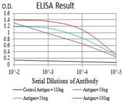 Invitrogen P2Y1 Monoclonal Antibody (4G5D6) 100 &mu;L; Unconjugated:Antibodies,
