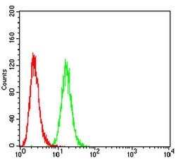 Invitrogen P2Y1 Monoclonal Antibody (4G5D6) 100 &mu;L; Unconjugated:Antibodies,