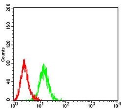 Invitrogen P2Y1 Monoclonal Antibody (4G5D6) 100 &mu;L; Unconjugated:Antibodies,