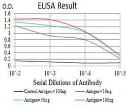 Invitrogen P2Y1 Monoclonal Antibody (4G5B7) 100 &mu;L; Unconjugated:Antibodies,