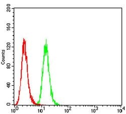 Invitrogen P2Y1 Monoclonal Antibody (4G5B7) 100 &mu;L; Unconjugated:Antibodies,