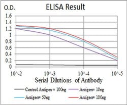 Invitrogen P2Y13 Monoclonal Antibody (6G12E10) 100 &mu;L; Unconjugated:Antibodies,