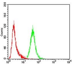 Invitrogen P2Y13 Monoclonal Antibody (6G12E10) 100 &mu;L; Unconjugated:Antibodies,