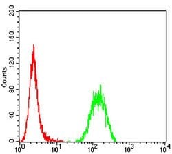 Invitrogen P2Y14 Monoclonal Antibody (5A3F1) 100 &mu;L; Unconjugated:Antibodies,