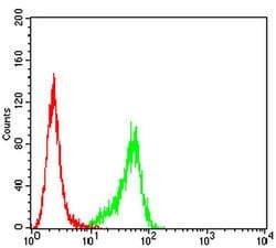Invitrogen P2Y14 Monoclonal Antibody (8A11B11) 100 &mu;L; Unconjugated:Antibodies,