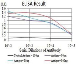 Invitrogen PAK3 Monoclonal Antibody (4G8F11) 100 &mu;L; Unconjugated:Antibodies,