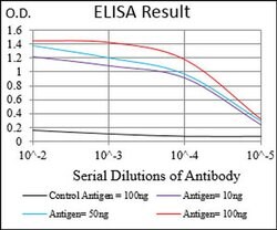 Invitrogen PAPLN Monoclonal Antibody (5F2D10) 100 &mu;L | Buy Online | Invitrogen&trade; | Fisher Scientific