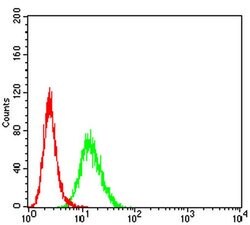 Invitrogen PCDH9 Monoclonal Antibody (7G3A2) 100 &mu;L | Buy Online | Invitrogen&trade; | Fisher Scientific