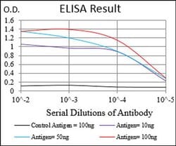 Invitrogen PDK2 Monoclonal Antibody (3F2D7) 100 &mu;L; Unconjugated:Antibodies,